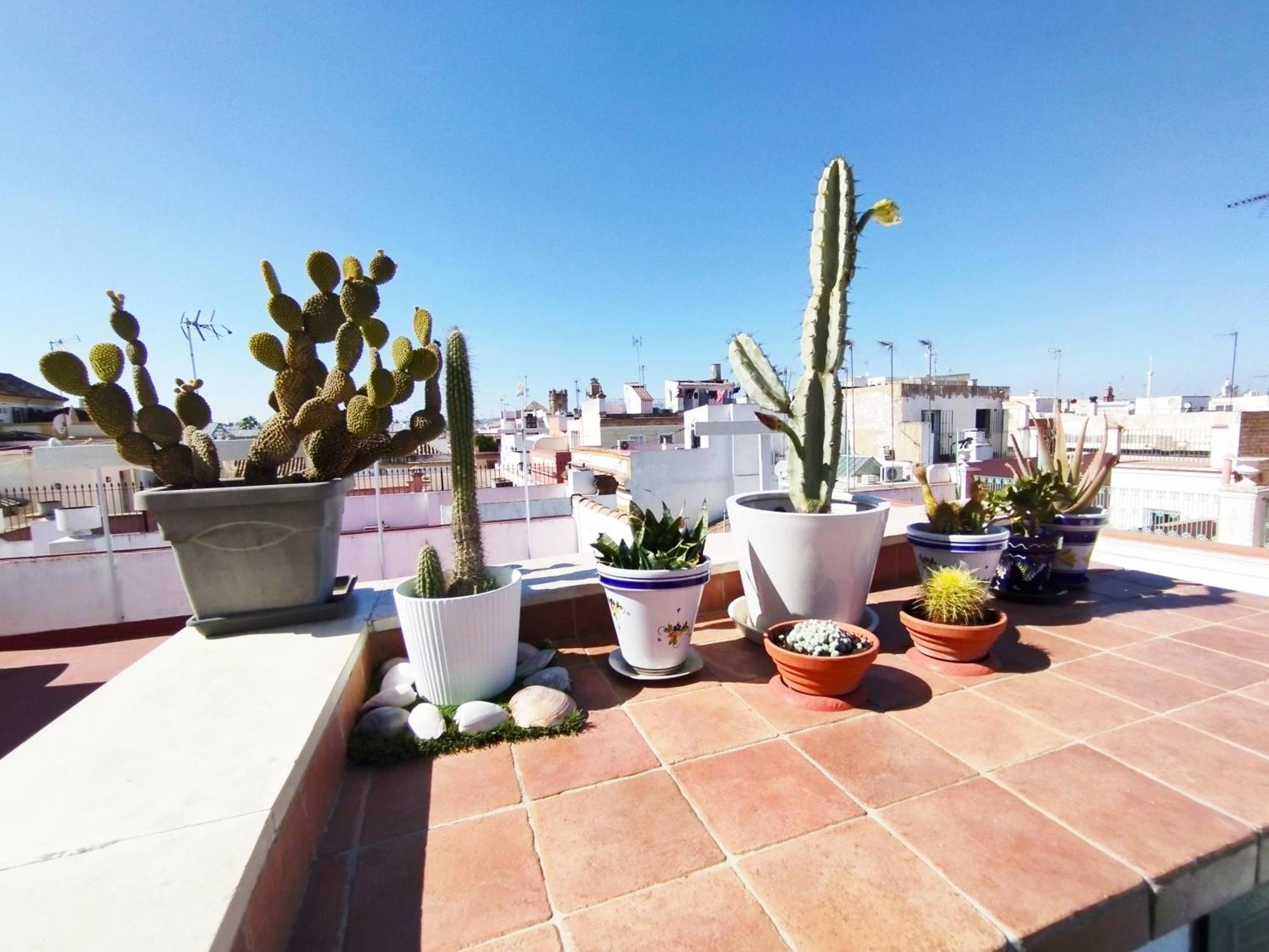セビリアCasa Gavidia - Duplex With Panoramic Viewアパートメント エクステリア 写真